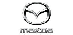 Specialist Mazda: Testing, Repair, and Calibration Services for Diesel Injectors and Pumps